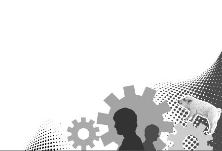 河南商报记者 王红伟